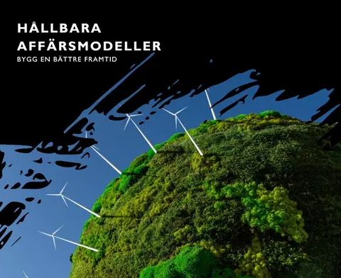 Image for Hållbara affärsmodeller
