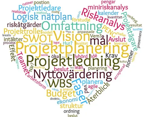 Image for Projektmetodik
