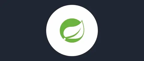 Image for Spring Security